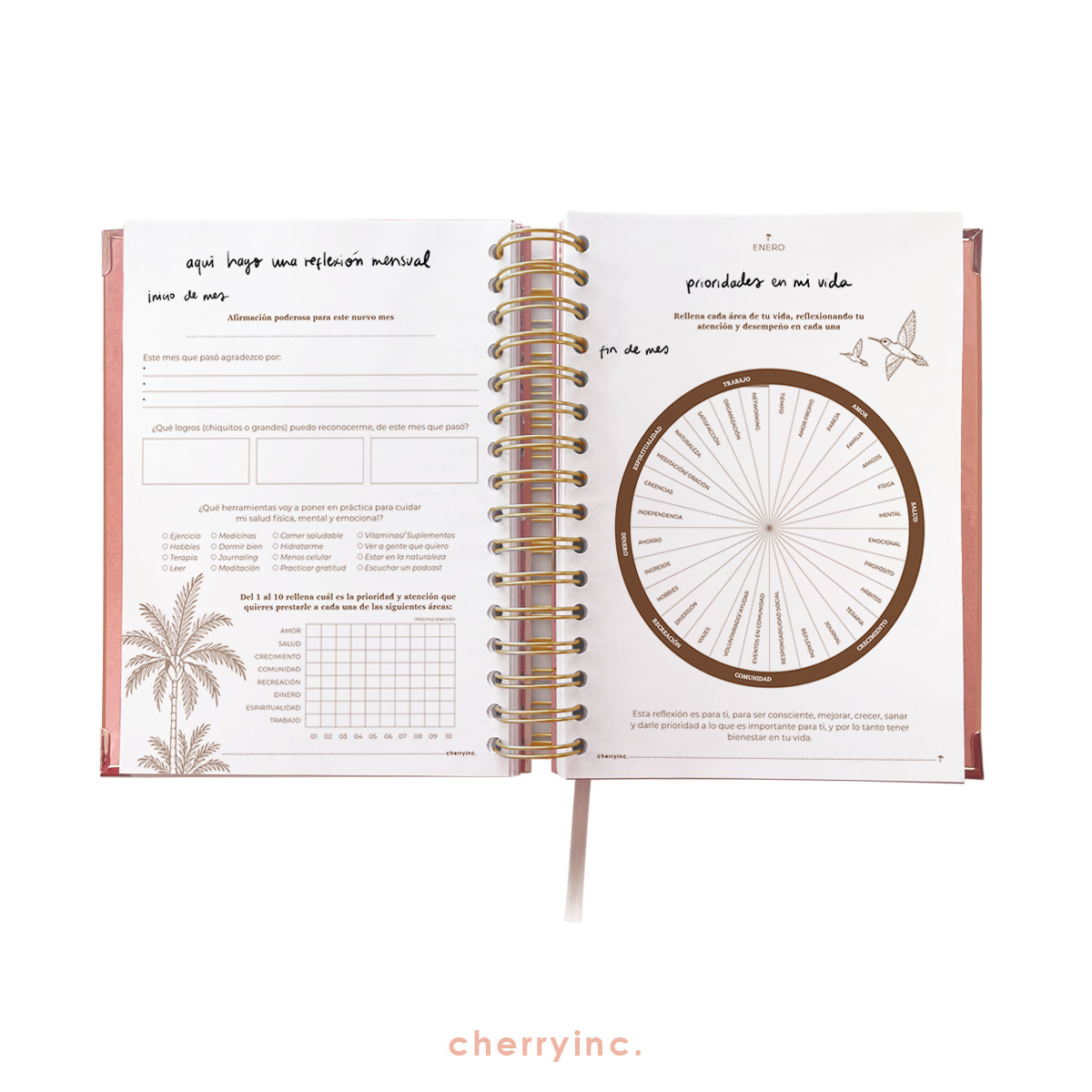 CEO Kit - Agenda Cherry 2027