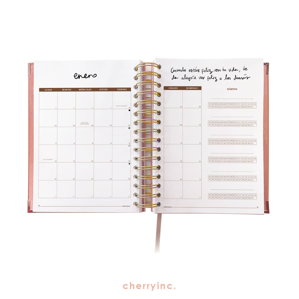 CEO Kit - Agenda Cherry 2027