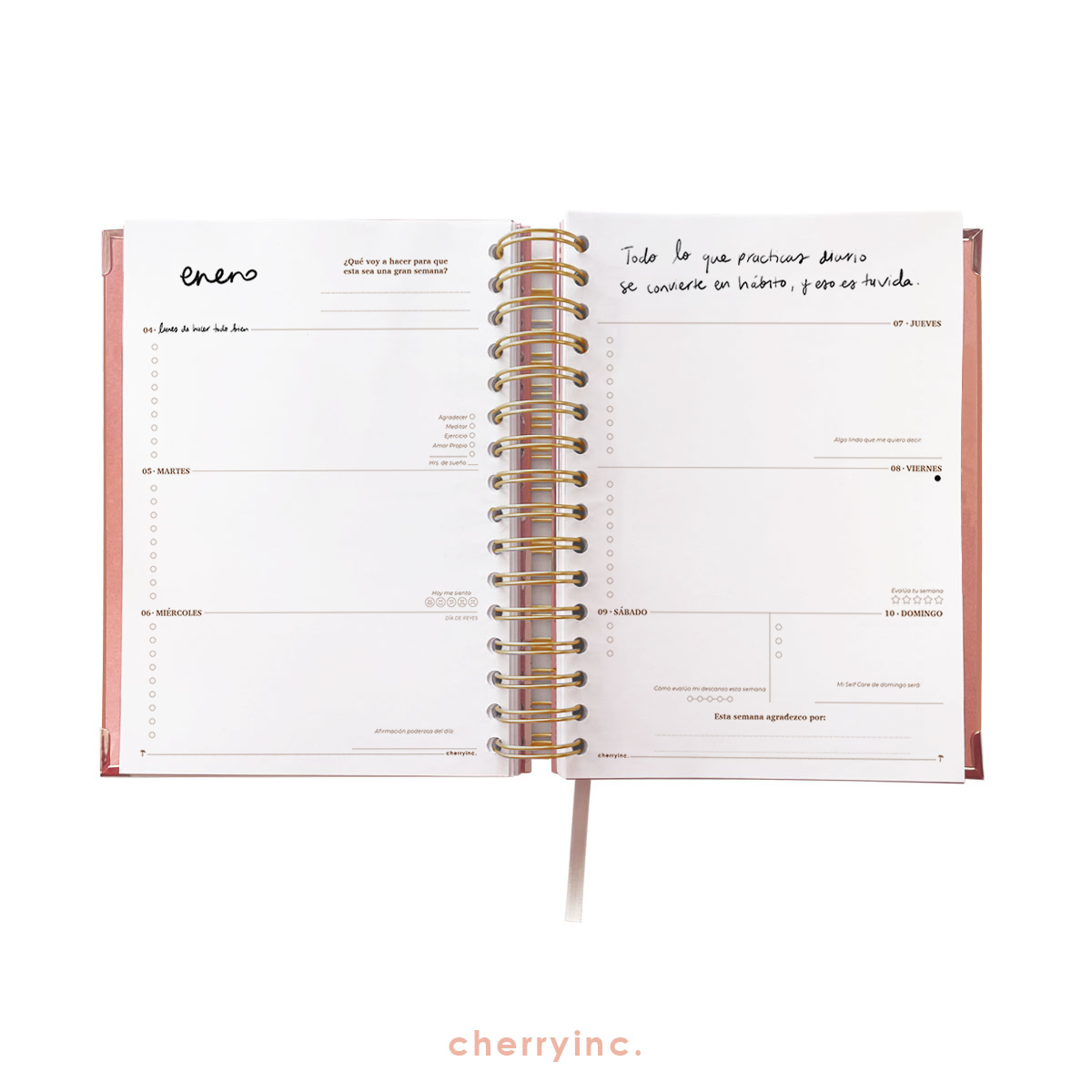 CEO Kit - Agenda Cherry 2027